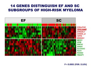 High-Risk Multiple Myeloma: Distinguishing Early Failures from ...
