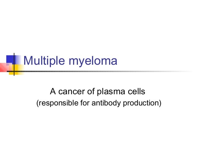 which cells are responsible for antibody production