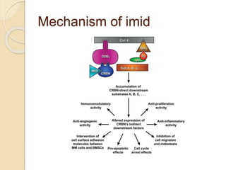 Mechanism of imid
 