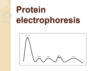 Protein
electrophoresis
 