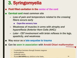 Syringomyelia Cape Like