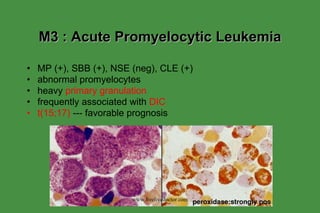 M3 : Acute Promyelocytic Leukemia MP (+), SBB (+), NSE (neg), CLE (+) abnormal promyelocytes heavy  primary granulation frequently associated with  DIC t(15;17)  --- favorable prognosis www.freelivedoctor.com 