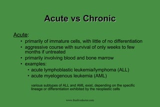 Acute vs Chronic Acute : primarily of immature cells, with little of no differentiation aggressive course with survival of only weeks to few months if untreated primarily involving blood and bone marrow examples: acute lymphoblastic leukemia/lymphoma (ALL) acute myelogenous leukemia (AML) various subtypes of ALL and AML exist, depending on the specific lineage or differentiation exhibited by the neoplastic cells www.freelivedoctor.com 