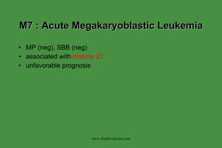 M7 : Acute Megakaryoblastic Leukemia MP (neg), SBB (neg) associated with  trisomy 21 unfavorable prognosis www.freelivedoctor.com 