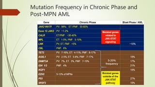 Mutation Frequency in Chronic Phase and
Post-MPN AML
 