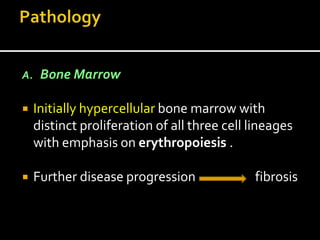 A. Bone Marrow
 Initially hypercellular bone marrow with
distinct proliferation of all three cell lineages
with emphasis on erythropoiesis .
 Further disease progression fibrosis
 