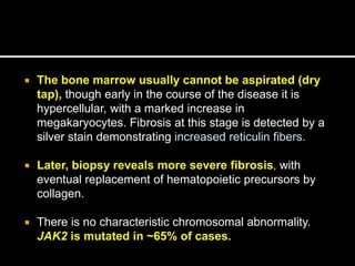  The bone marrow usually cannot be aspirated (dry
tap), though early in the course of the disease it is
hypercellular, with a marked increase in
megakaryocytes. Fibrosis at this stage is detected by a
silver stain demonstrating increased reticulin fibers.
 Later, biopsy reveals more severe fibrosis, with
eventual replacement of hematopoietic precursors by
collagen.
 There is no characteristic chromosomal abnormality.
JAK2 is mutated in ~65% of cases.
 