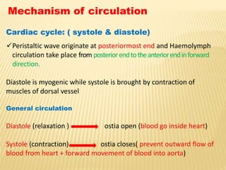 Mechanism of circulation
Cardiac cycle: ( systole & diastole)
Peristaltic wave originate at posteriormost end and Haemolymph
circulation take place from posteriorendtotheanteriorendinforward
direction.
Diastole is myogenic while systole is brought by contraction of
muscles of dorsal vessel
General circulation
Diastole (relaxation ) ostia open (blood go inside heart)
Systole (contraction) ostia closes( prevent outward flow of
blood from heart + forward movement of blood into aorta)
 