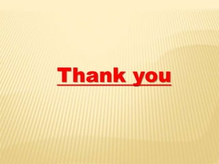  circulatory sysytem of insects 