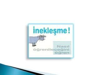 Kömür hazırlama - Myer eğrisi