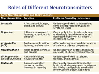 Roles of Different Neurotransmitters
Some Neurotransmitters and Their Functions
Neurotransmitter Function
Problems Caused by Imbalances
Serotonin

Affects mood, hunger,
sleep, and arousal

Undersupply linked to depression;
some antidepressant drugs raise
serotonin levels

Dopamine

Influences movement,
learning, attention, and
emotion

Oversupply linked to schizophrenia;
undersupply linked to tremors and
decreased mobility in Parkinson’s
disease and ADHD

Acetylcholine
(ACh)

Enables muscle action,
learning, and memory

ACh-producing neurons deteriorate as
Alzheimer’s disease progresses

Norepinephrine

Helps control alertness
and arousal

Undersupply can depress mood and
cause ADHD-like attention problems

GABA (gammaaminobutyric acid

A major inhibitory
neurotransmitter

Undersupply linked to seizures,
tremors, and insomnia

Glutamate

A major excitatory
neurotransmitter;
involved in memory

Oversupply can overstimulate the
brain, producing migraines or seizures;
this is why some people avoid MSG
(monosodium glutamate) in food

 