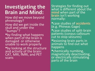 Investigating the
Brain and Mind:

How did we move beyond
phrenology?
How did we get inside the
skull and under the
“bumps”?
by finding what happens
when part of the brain is
damaged or otherwise
unable to work properly
by looking at the structure
and activity of the brain:
CAT, MRI, fMRI, and PET
scans

Strategies for finding out
what is different about the
mind when part of the
brain isn’t working
normally:
case studies of accidents
(e.g. Phineas Gage)
case studies of split-brain
patients (corpus callosum
cut to stop seizures)
lesioning brain parts in
animals to find out what
happens
chemically numbing,
magnetically deactivating,
or electrically stimulating
parts of the brain

 