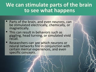 We can stimulate parts of the brain
to see what happens
 Parts of the brain, and even neurons, can
be stimulated electrically, chemically, or
magnetically.
 This can result in behaviors such as
giggling, head turning, or simulated vivid
recall.
 Researchers can see which neurons or
neural networks fire in conjunction with
certain mental experiences, and even
specific concepts.

 
