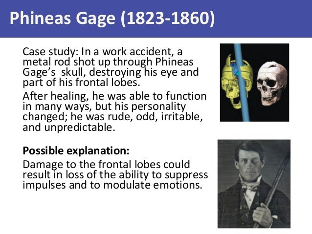phineas gage and the role of Free essay: phineas gage and the role of the brain in cognitive functioning breanne warden psy/360 december 5, 2011 devlin crose phineas gage and the role of. phineas gage and the role of Free essay: phineas gage and the role of the brain in cognitive functioning breanne warden psy/360 december 5, 2011 devlin crose phineas gage and the role of.