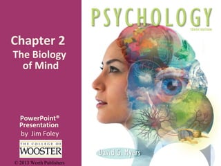 Chapter 2

The Biology
of Mind

PowerPoint®
Presentation
by Jim Foley

© 2013 Worth Publishers

 