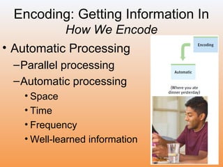 Unit 7A PPT | PPT