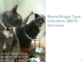 Myers-Briggs Type Indicators (MBTI) Overview I HAZ PWND YOUR MIRROR TO WONDR HOO IS I, 4 REALZ?! 