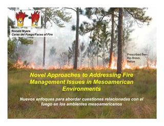 Ronald Myers
Caras del Fuego/Faces of Fire




                                                        Prescribed fire--
                                                        Rio Bravo,
                                                        Belize



            Novel Approaches to Addressing Fire
            Management Issues in Mesoamerican
                      Environments
     Nuevos enfoques para abordar cuestiones relacionadas con el
              fuego en los ambientes mesoamericanos
 