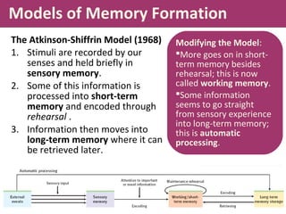 psychology of memory | PPT