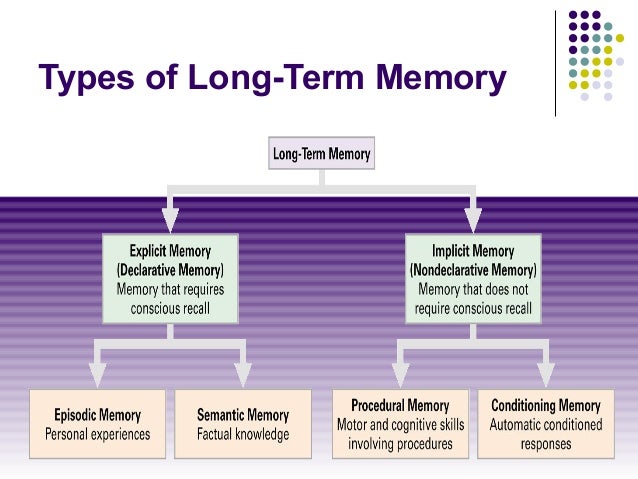 psychology of memory