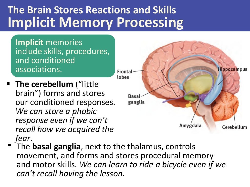 psychology of memory