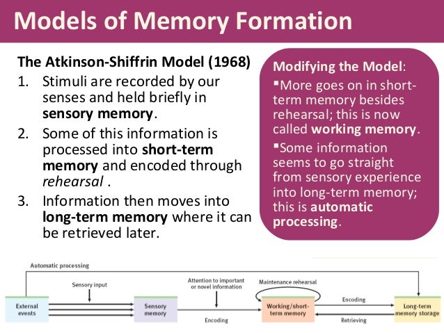psychology of memory