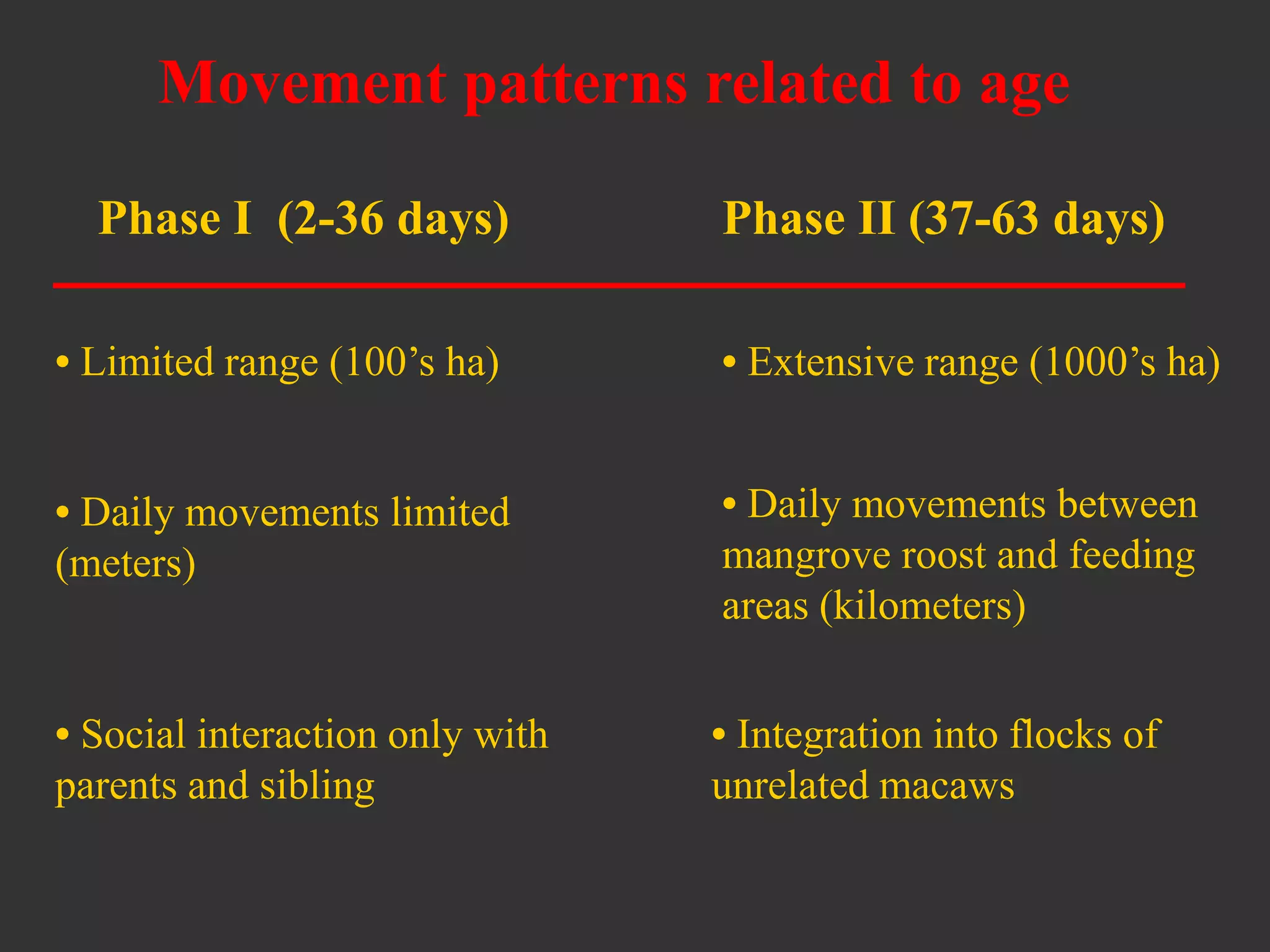 Phase I (2-36 days)
• Social interaction only with
parents and sibling
Phase II (37-63 days)
Movement patterns related to age
• Daily movements limited
(meters)
• Limited range (100’s ha) • Extensive range (1000’s ha)
• Integration into flocks of
unrelated macaws
• Daily movements between
mangrove roost and feeding
areas (kilometers)
 