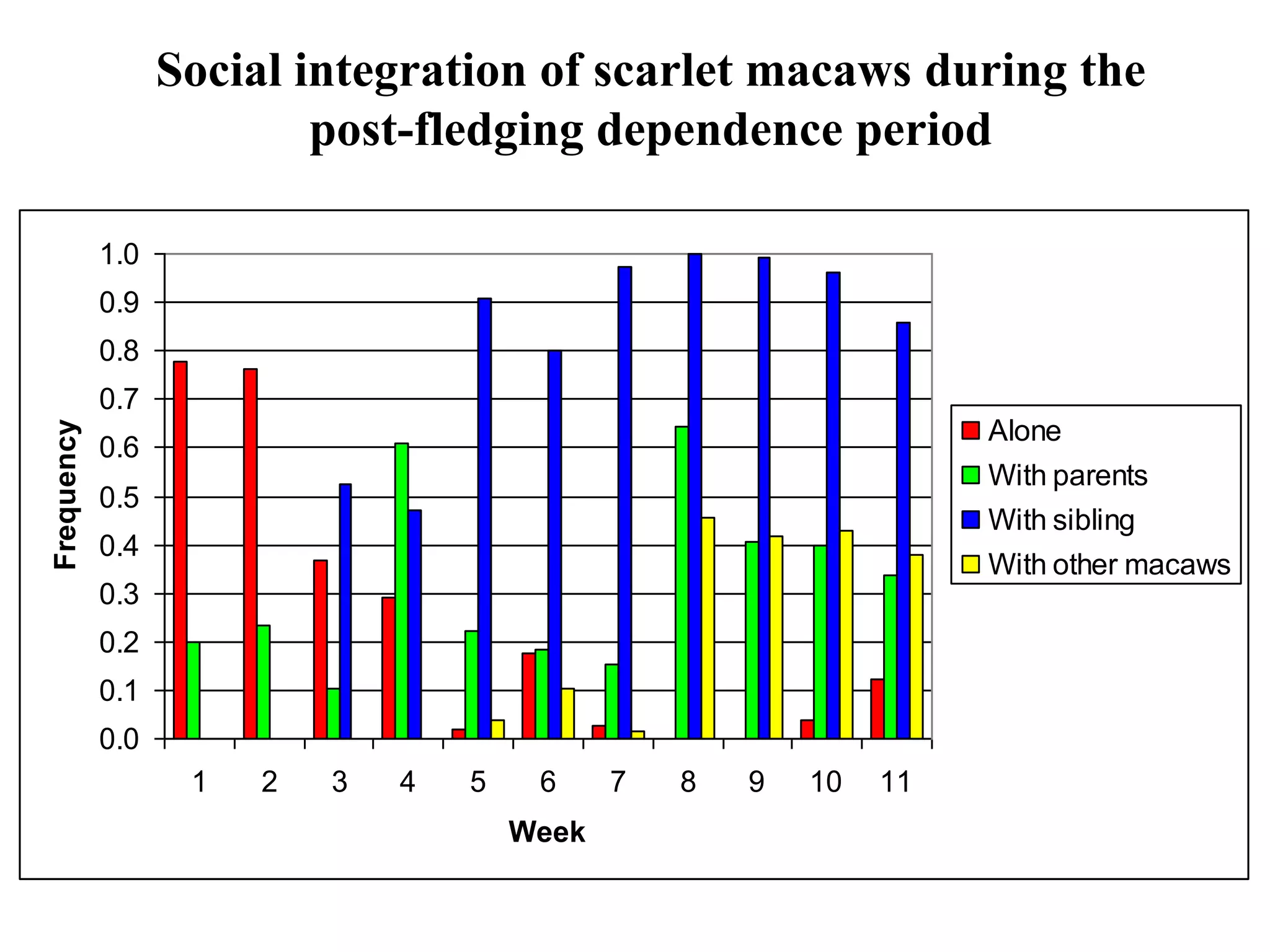 0.0
0.1
0.2
0.3
0.4
0.5
0.6
0.7
0.8
0.9
1.0
1 2 3 4 5 6 7 8 9 10 11
Week
Frequency
Alone
With parents
With sibling
With other macaws
Social integration of scarlet macaws during the
post-fledging dependence period
 
