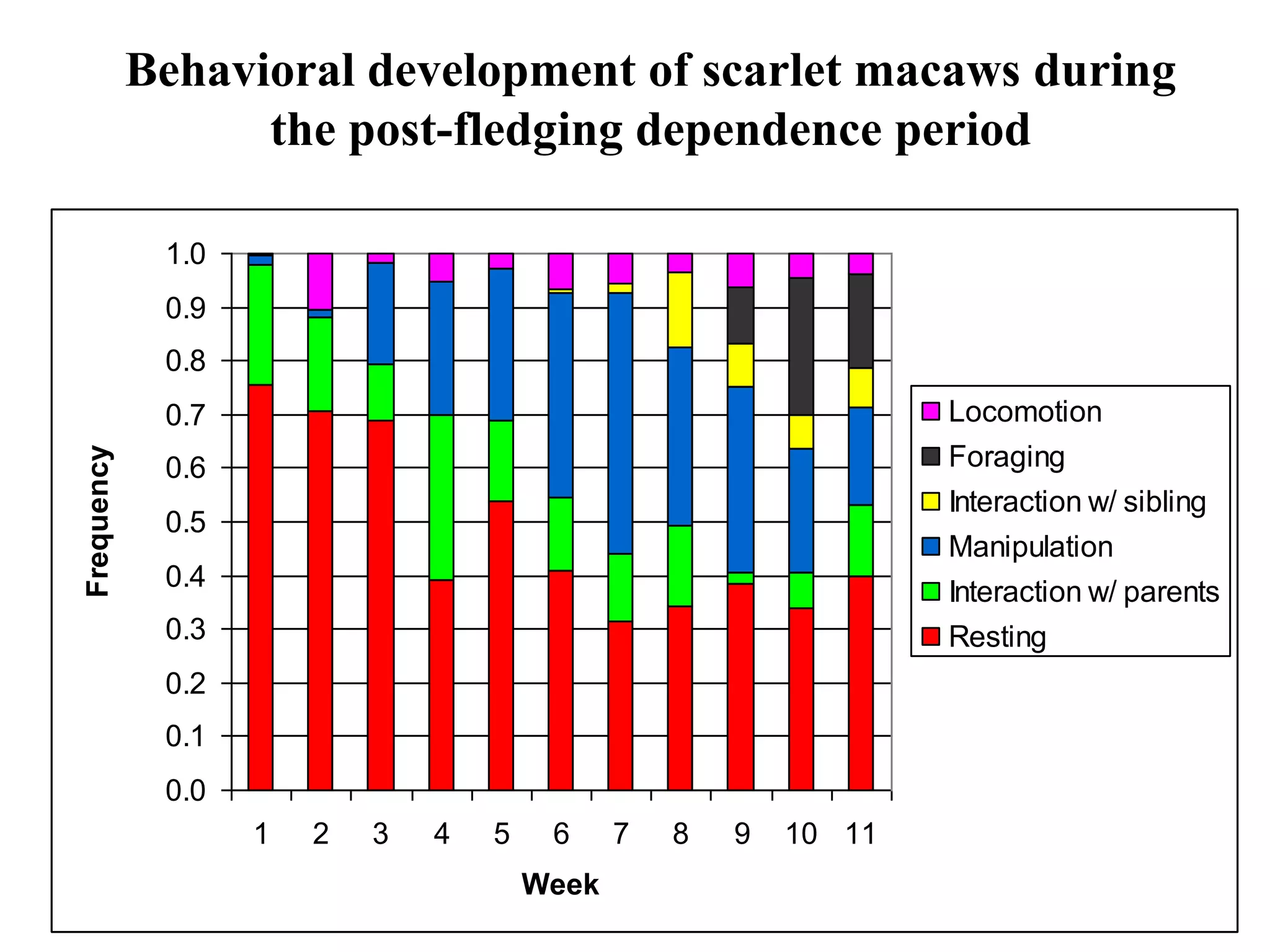 0.0
0.1
0.2
0.3
0.4
0.5
0.6
0.7
0.8
0.9
1.0
1 2 3 4 5 6 7 8 9 10 11
Week
Frequency
Locomotion
Foraging
Interaction w/ sibling
Manipulation
Interaction w/ parents
Resting
Behavioral development of scarlet macaws during
the post-fledging dependence period
 