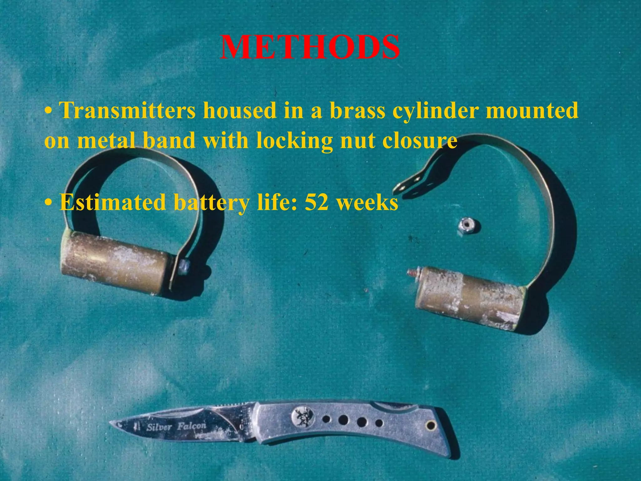 • Transmitters housed in a brass cylinder mounted
on metal band with locking nut closure
• Estimated battery life: 52 weeks
METHODS
 