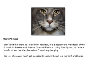 Macro/Abstract 
I didn’t edit this photo as I felt I didn’t need too, this is because the main focus of the 
picture is in the centre of the cats face and the cat is staring directly into the camera, 
therefore I feel that the photo doesn’t need any changing. 
I like this photo very much as I managed to capture the cat in a moment of stillness. 
 