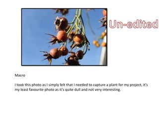 Macro 
I took this photo as I simply felt that I needed to capture a plant for my project, it’s 
my least favourite photo as it’s quite dull and not very interesting. 
 