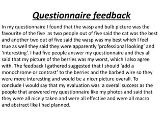 Questionnaire feedback 
In my questionnaire I found that the wasp and bulb picture was the 
favourite of the five as two people out of five said the cat was the best 
and another two out of five said the wasp was my best which I feel 
true as well they said they were apparently ‘professional looking’ and 
‘interesting’. I had five people answer my questionnaire and they all 
said that my picture of the berries was my worst, which I also agree 
with. The feedback I gathered suggested that I should ‘add a 
monochrome or contrast’ to the berries and the barbed wire so they 
were more interesting and would be a nicer picture overall. To 
conclude I would say that my evaluation was a overall success as the 
people that answered my questionnaire like my photos and said that 
they were all nicely taken and were all effective and were all macro 
and abstract like I had planned. 
