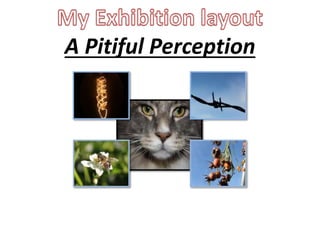 A Pitiful Perception 
 