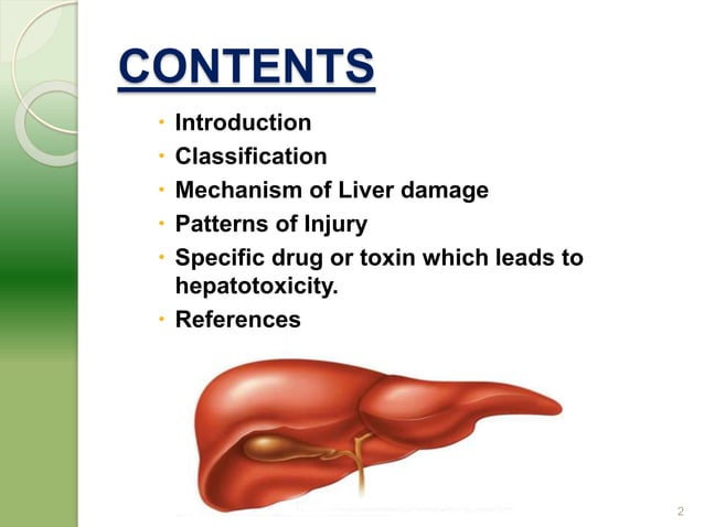 Molecular mechanism of drug induced hepatotoxicity | PPTX | Endocrine ...