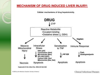 Molecular mechanism of drug induced hepatotoxicity | PPTX