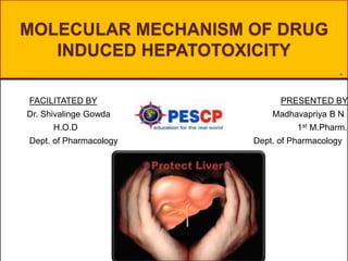 MOLECULAR MECHANISM OF DRUG
INDUCED HEPATOTOXICITY
1

FACILITATED BY PRESENTED BY
Dr. Shivalinge Gowda Madhavapriya B N
H.O.D 1st M.Pharm.
Dept. of Pharmacology Dept. of Pharmacology
 