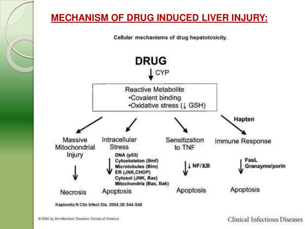 Molecular mechanism of drug induced hepatotoxicity
