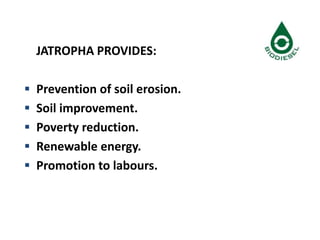 JATROPHA PROVIDES:
 Prevention of soil erosion.
 Soil improvement.
 Poverty reduction.
 Renewable energy.
 Promotion to labours.
 