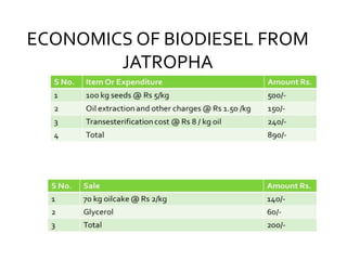 ECONOMICS OF BIODIESEL FROM
JATROPHA
 