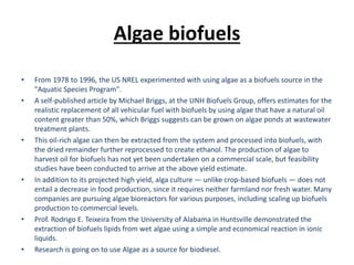 Algae biofuels
• From 1978 to 1996, the US NREL experimented with using algae as a biofuels source in the
"Aquatic Species Program".
• A self-published article by Michael Briggs, at the UNH Biofuels Group, offers estimates for the
realistic replacement of all vehicular fuel with biofuels by using algae that have a natural oil
content greater than 50%, which Briggs suggests can be grown on algae ponds at wastewater
treatment plants.
• This oil-rich algae can then be extracted from the system and processed into biofuels, with
the dried remainder further reprocessed to create ethanol. The production of algae to
harvest oil for biofuels has not yet been undertaken on a commercial scale, but feasibility
studies have been conducted to arrive at the above yield estimate.
• In addition to its projected high yield, alga culture — unlike crop-based biofuels — does not
entail a decrease in food production, since it requires neither farmland nor fresh water. Many
companies are pursuing algae bioreactors for various purposes, including scaling up biofuels
production to commercial levels.
• Prof. Rodrigo E. Teixeira from the University of Alabama in Huntsville demonstrated the
extraction of biofuels lipids from wet algae using a simple and economical reaction in ionic
liquids.
• Research is going on to use Algae as a source for biodiesel.
 