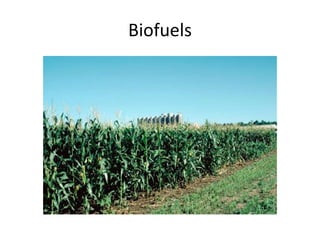 Biofuels
 