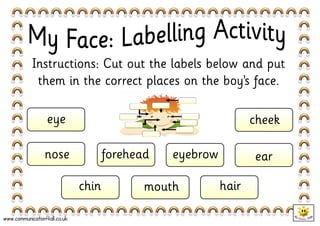 Instructions: Cut out the labels below and put 
them in the correct places on the boy’s face. 
eye 
www.communication4all.co.uk 
chin mouth hair 
cheek 
nose forehead eyebrow ear 
 