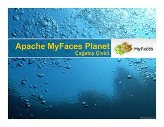 Apache MyFaces Planet
             Çağatay Çivici
 