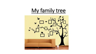 My family tree
 