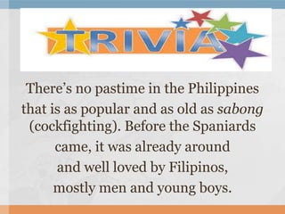There’s no pastime in the Philippines
that is as popular and as old as sabong
(cockfighting). Before the Spaniards
came, it was already around
and well loved by Filipinos,
mostly men and young boys.
 