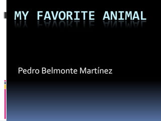 MY FAVORITE ANIMAL


Pedro Belmonte Martínez
 