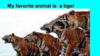 My favorite animal is a tiger
 