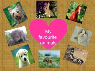 My 
favourite 
animals 
 