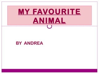 MY FAVOURITE
   ANIMAL

BY ANDREA
 
